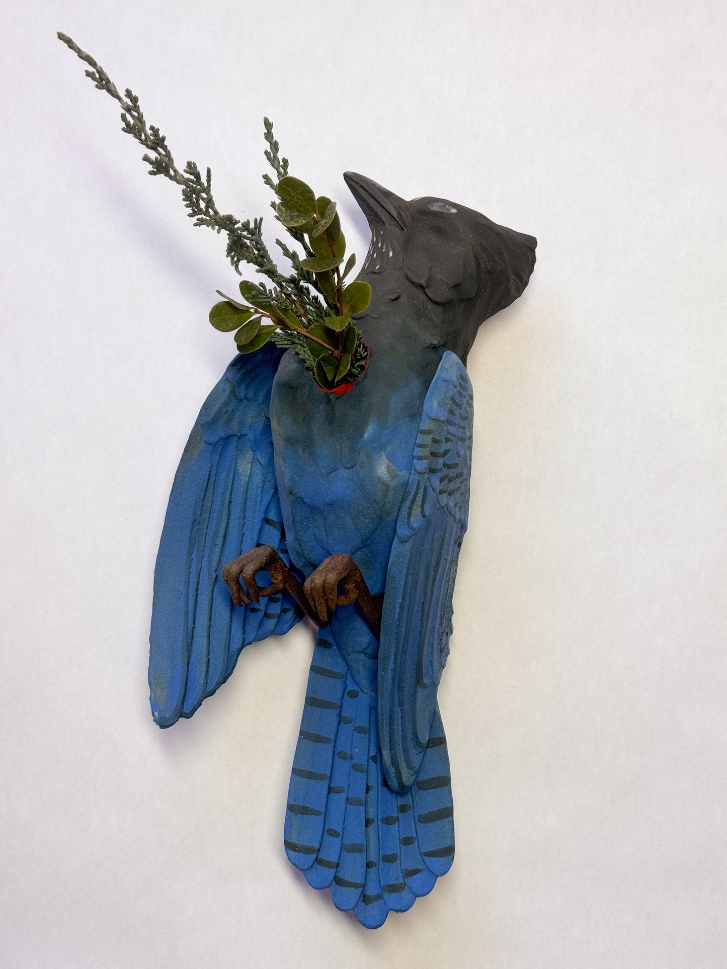 Steller's Jay Wall Bud-Vase