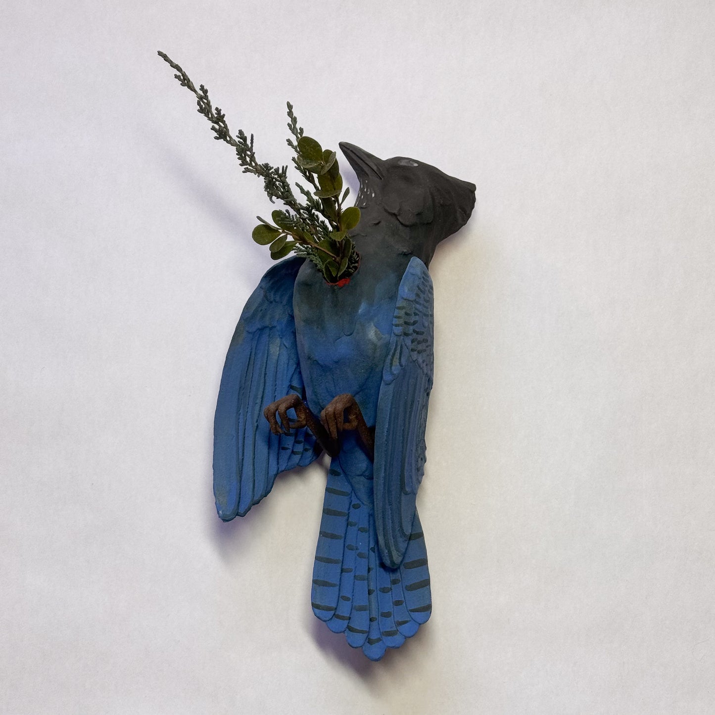 Steller's Jay Wall Bud-Vase