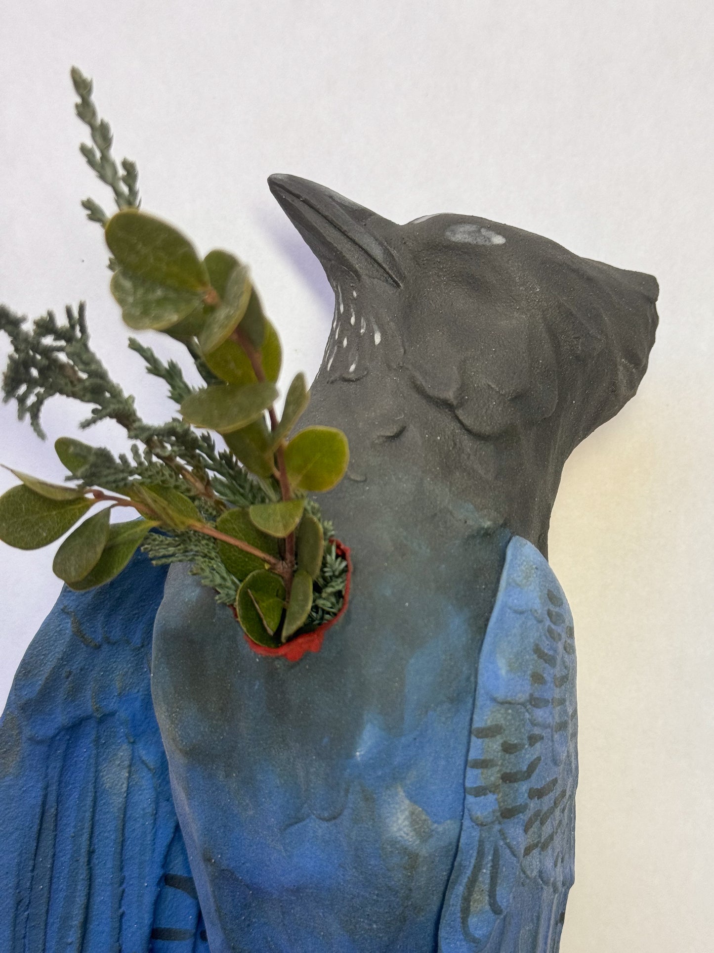 Steller's Jay Wall Bud-Vase