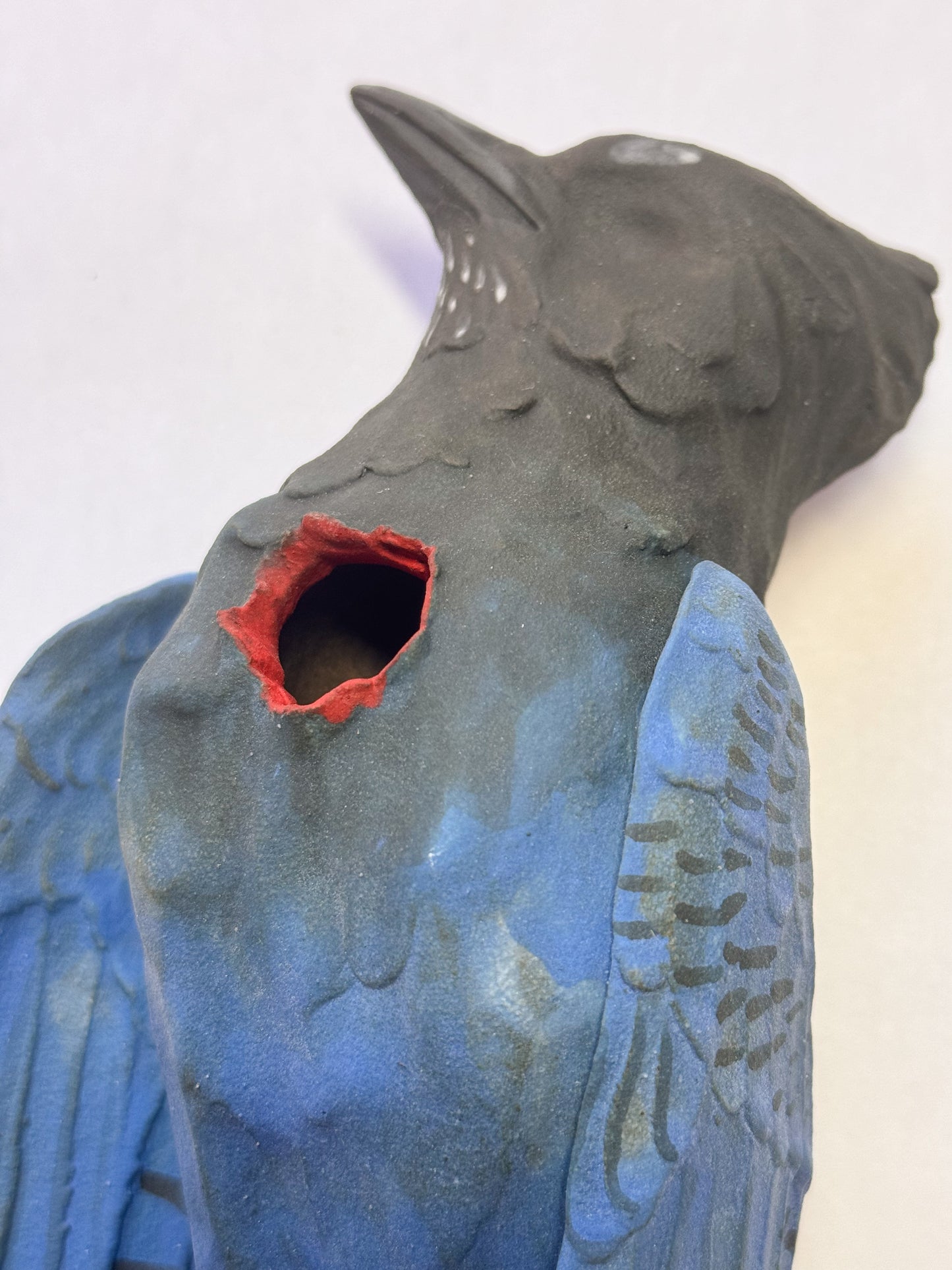 Steller's Jay Wall Bud-Vase