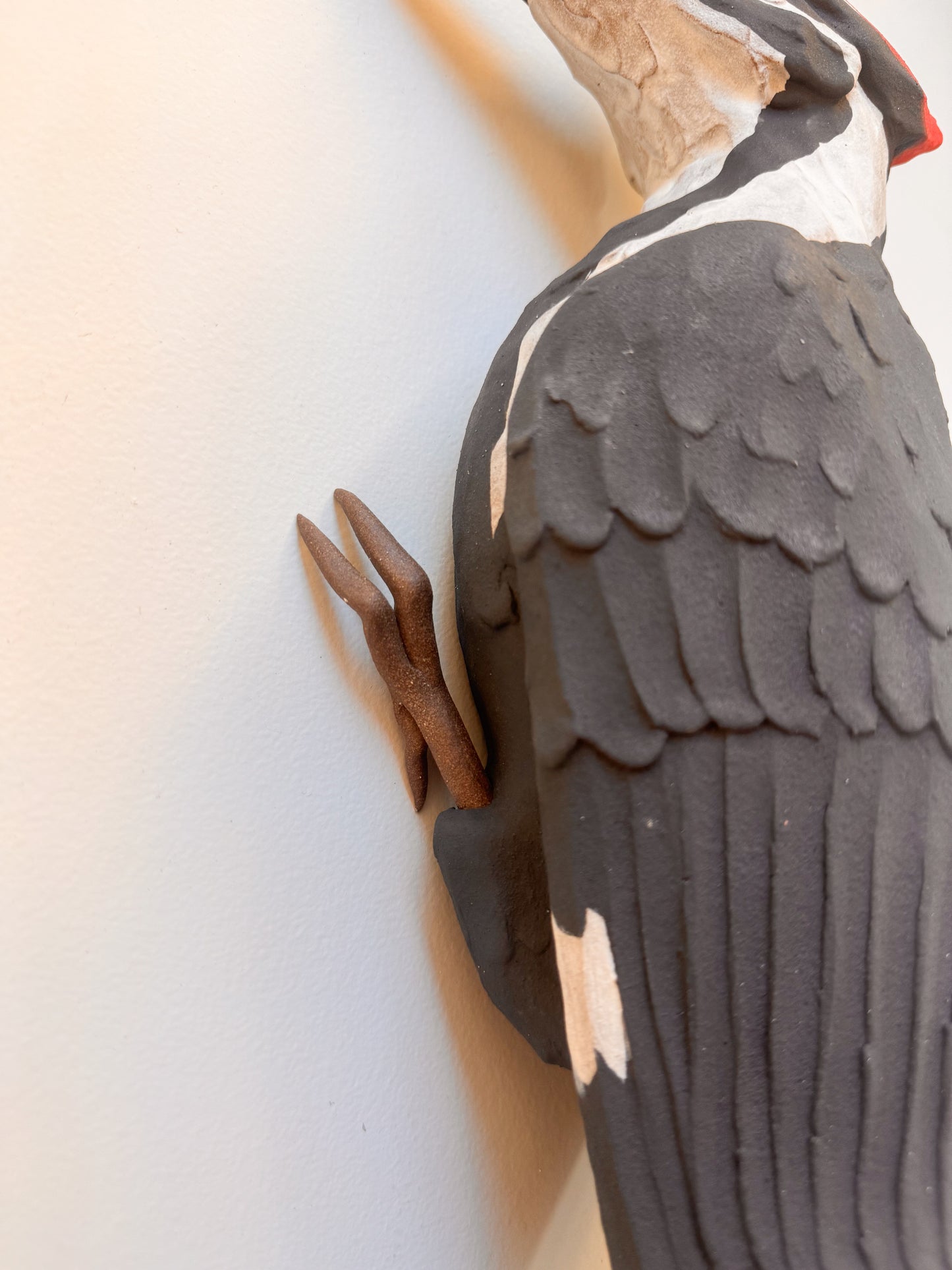 Pileated Woodpecker wall climber