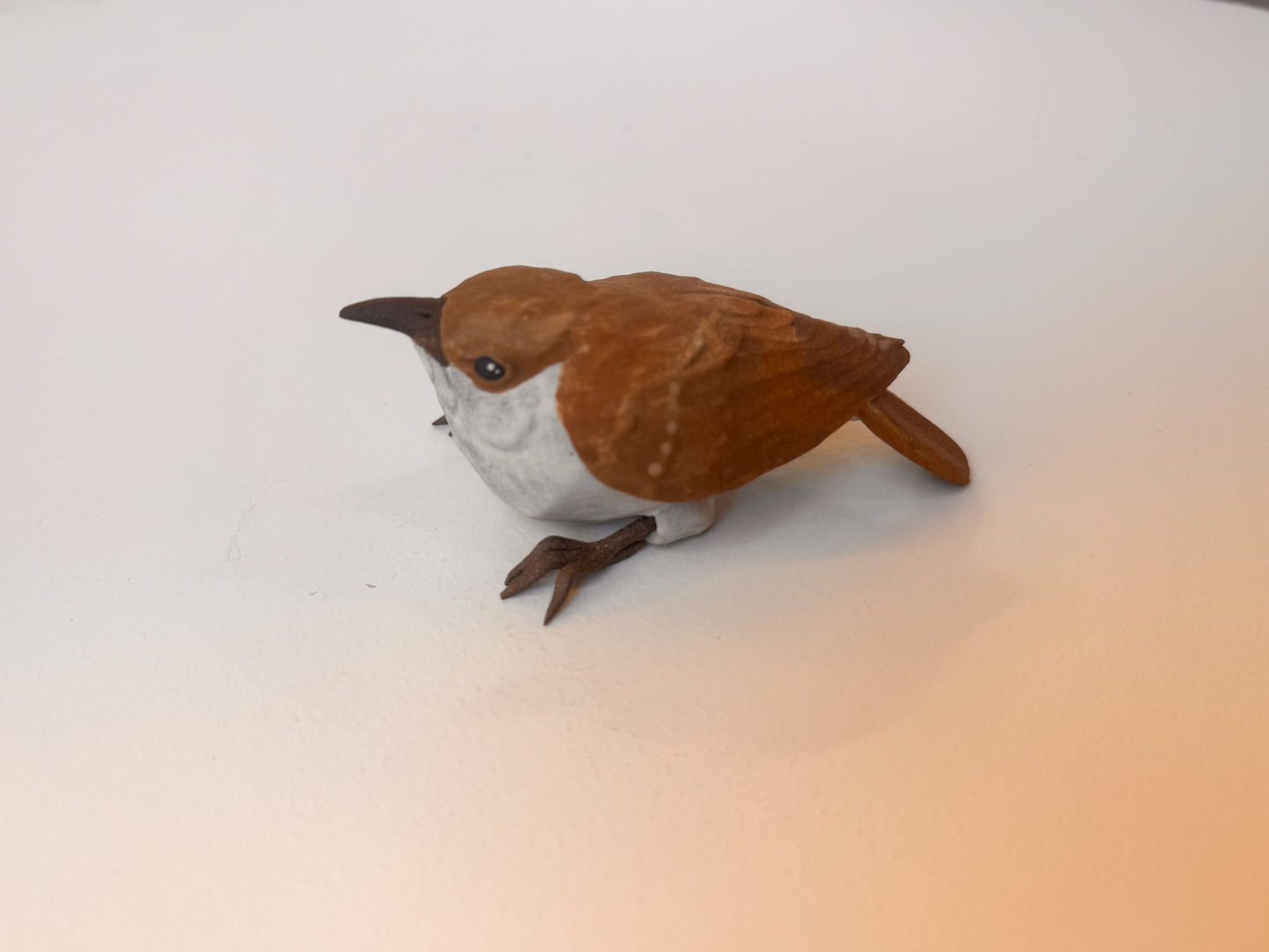 Brown Creeper wall climber