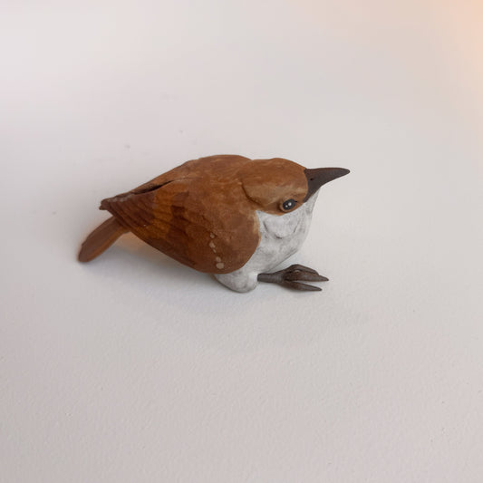 Brown Creeper wall climber