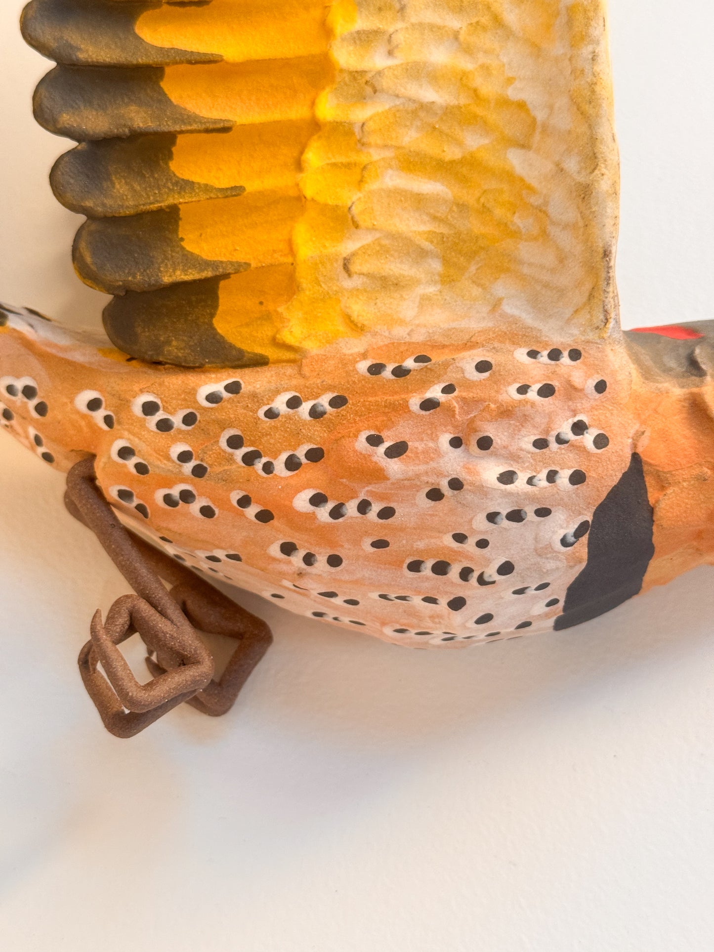 Yellow-shafted Northern Flicker in flight