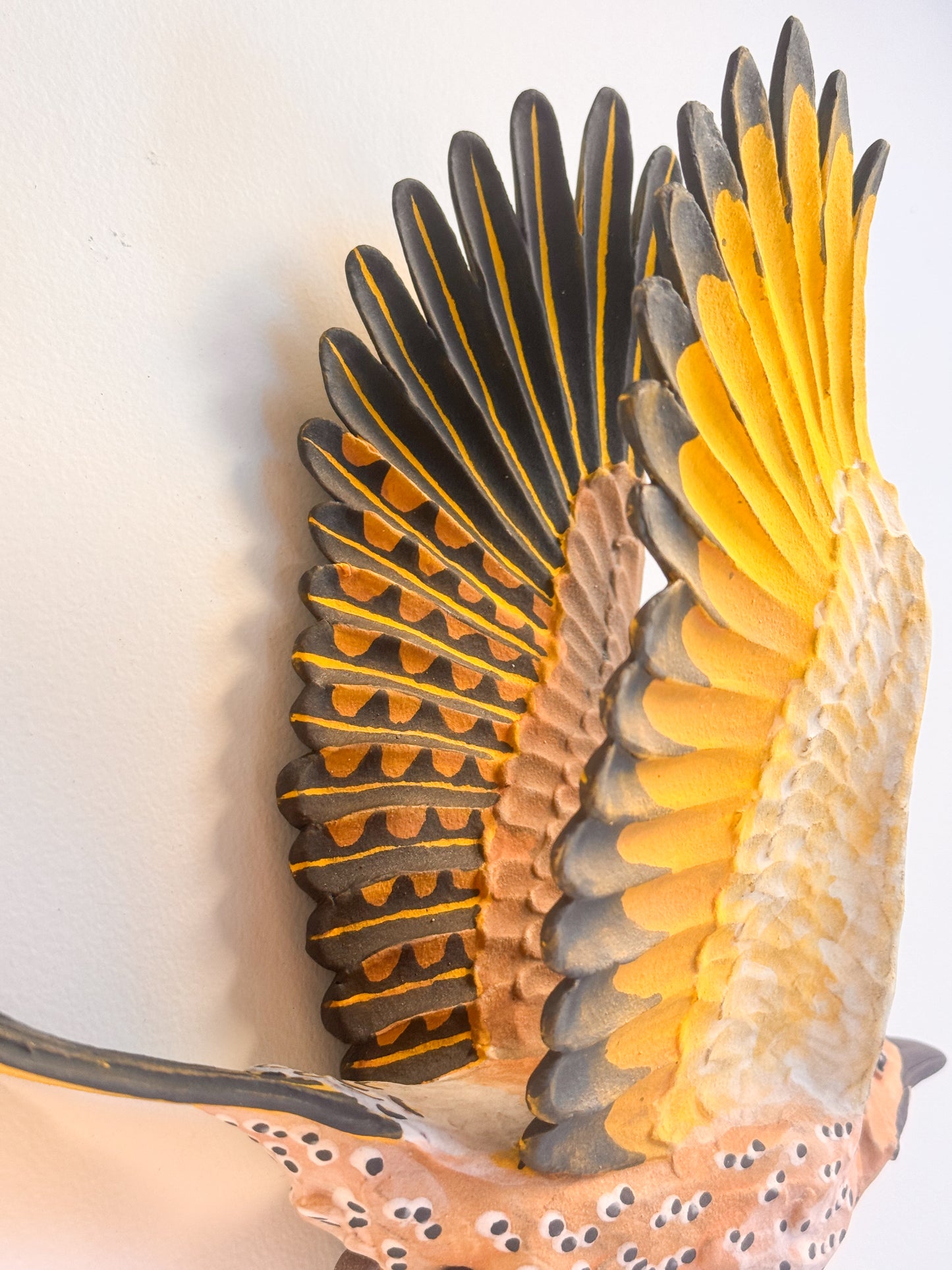 Yellow-shafted Northern Flicker in flight