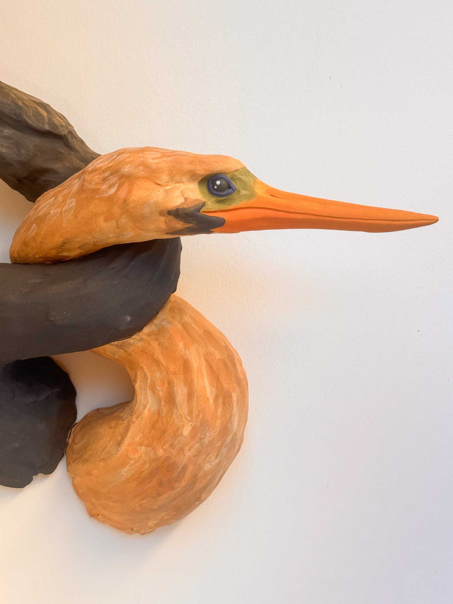 Tangled Anhinga Pair