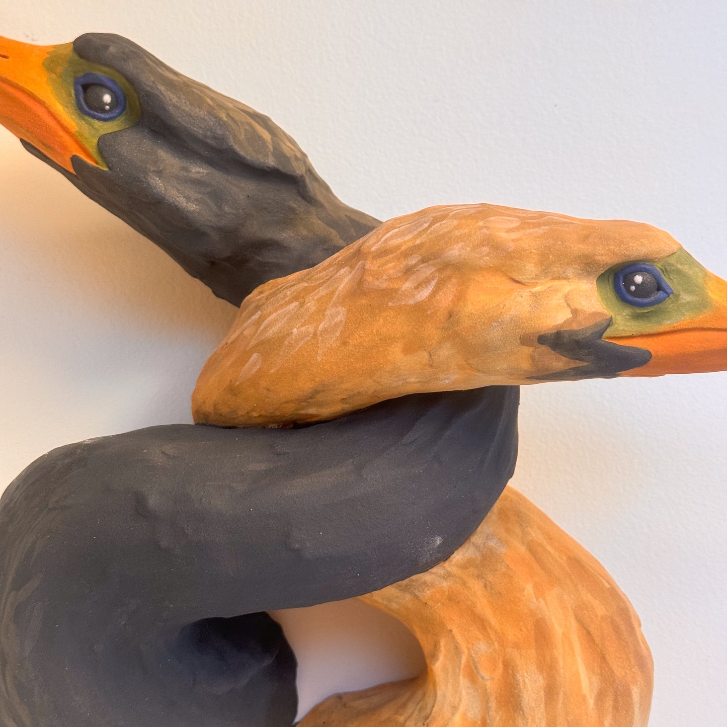 Tangled Anhinga Pair