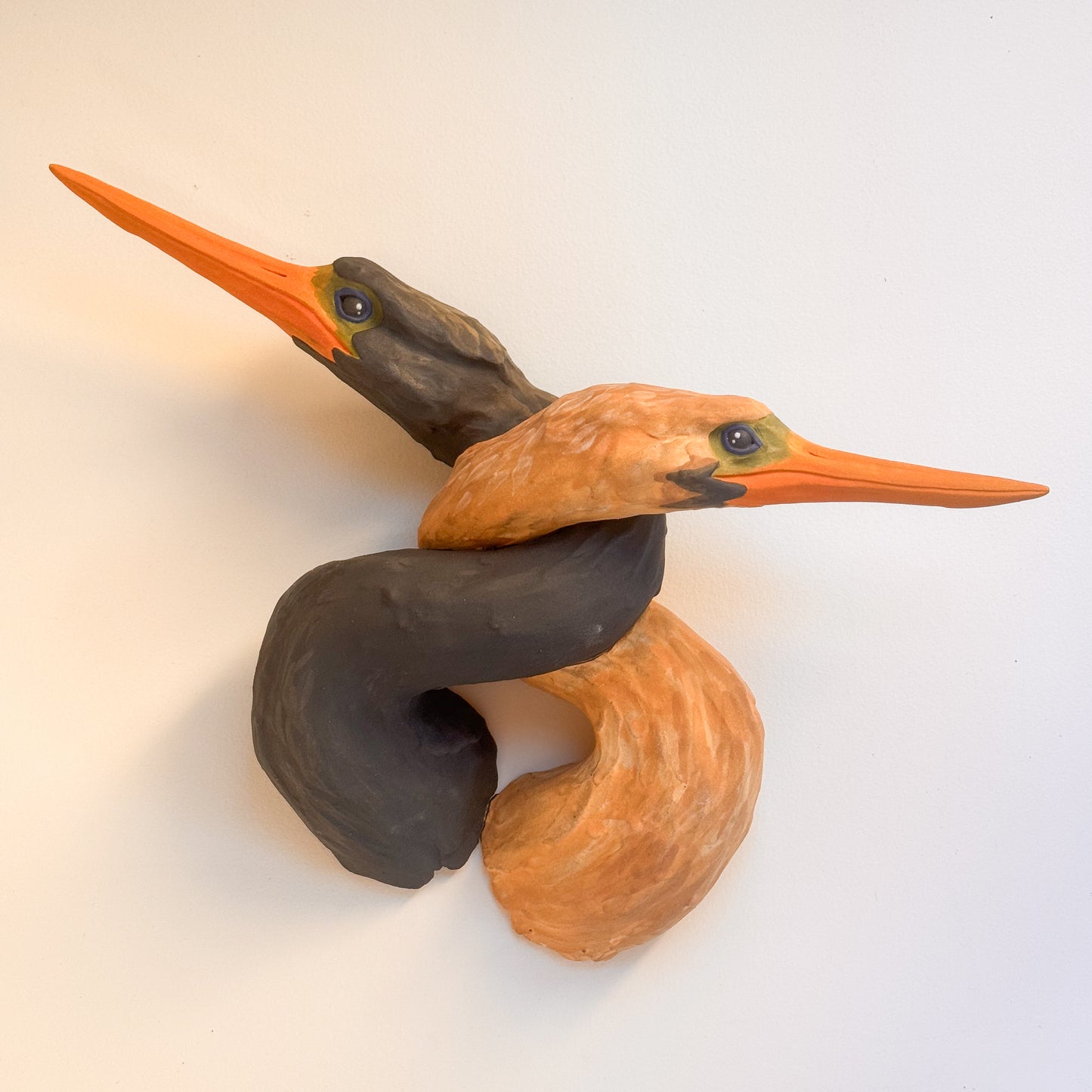 Tangled Anhinga Pair