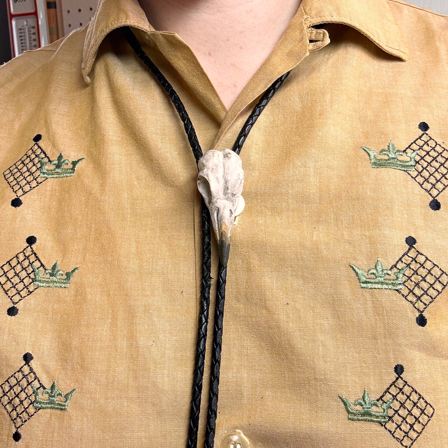 Sandpiper Skull Bolo Tie