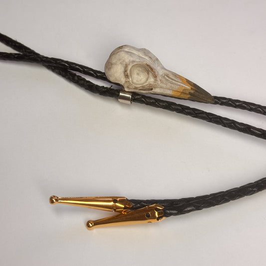 Sandpiper Skull Bolo Tie