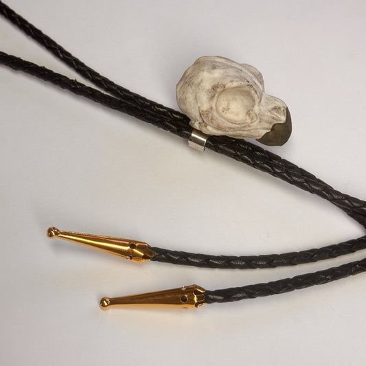 Saw Whet Owl Skull Bolo Tie