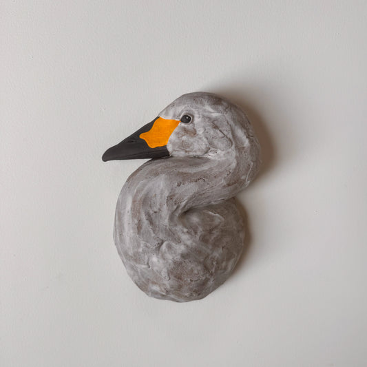 Tundra Swan Bust