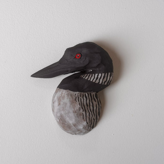 Common Loon Bust